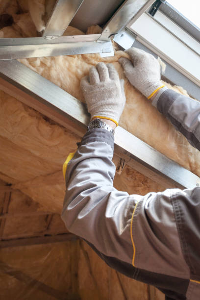 Best Insulation Removal  in Salida, CO