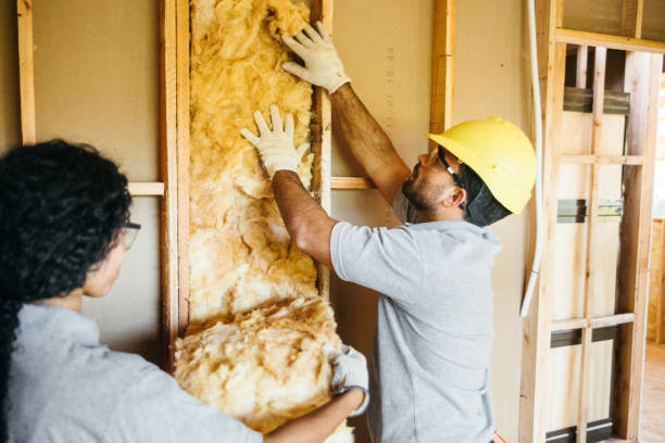 Best Wall Insulation Contractor  in Salida, CO